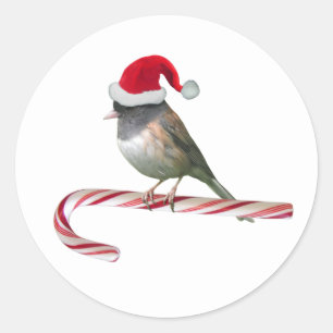 Père Noël Bird sur des autocollants de Sucre de ca