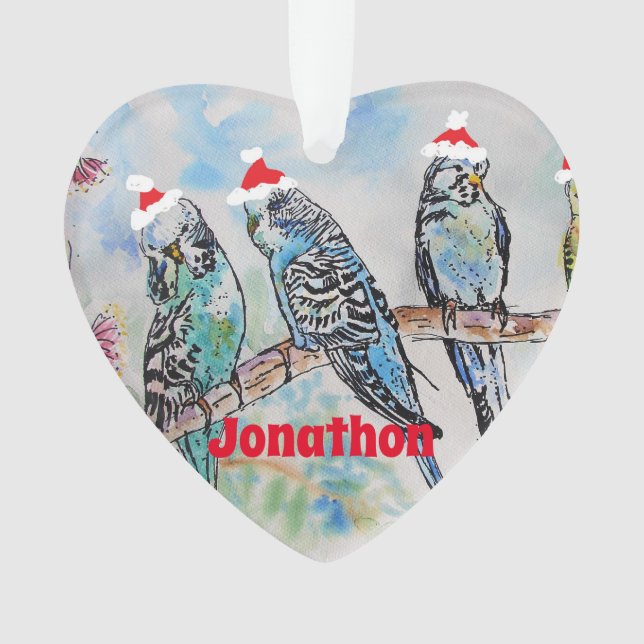Père Noël Budgie Parrot Budgies Garçons Nom Orneme (devant)