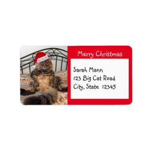 Père Noël Cat Joyeux Étiquettes de adresse de Noël