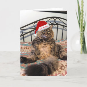 père Noël Cat obtient des cookies Carte de Noël