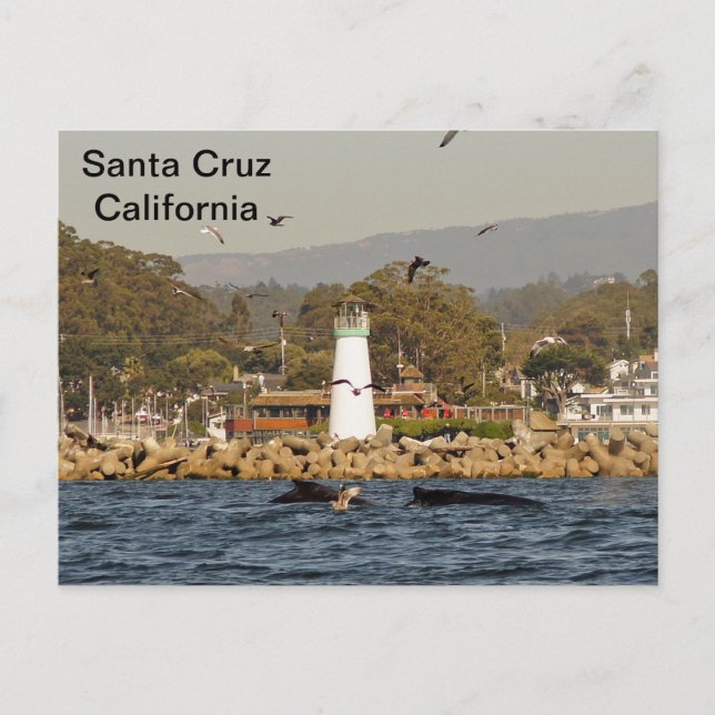 Père Noël Cruz, Californie Carte postale Baleines  (Devant)