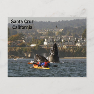 Père Noël Cruz, Californie Carte postale Baleines 