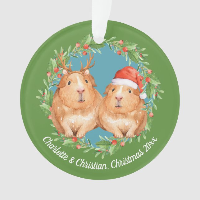 Père Noël de cochons de Guinée et Noël de la couro (devant)