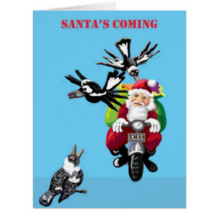 Père Noël et les pies