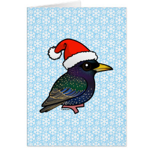 Père Noël European Starling