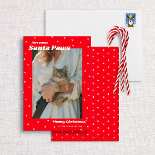 Père Noël Paws Meowy Carte photo de chat de Noël
