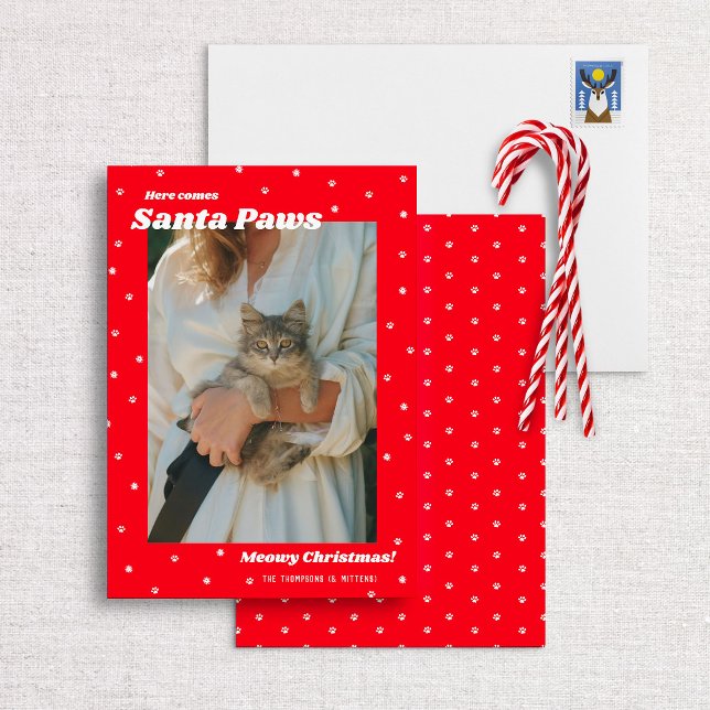 Père Noël Paws Meowy Carte photo de chat de Noël (Créateur téléchargé)