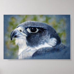 Peregrine-Airbrush Poster