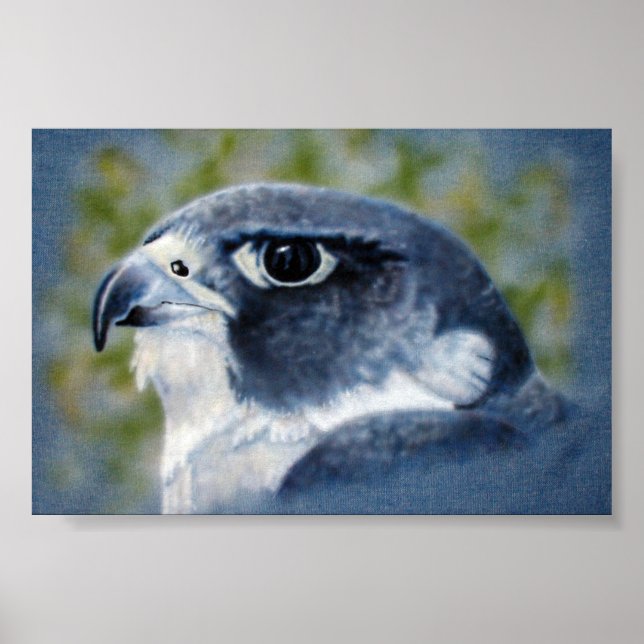Peregrine-Airbrush Poster (Vorne)