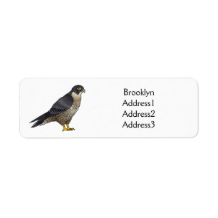 Peregrine falcon bird Cartoon Illustration