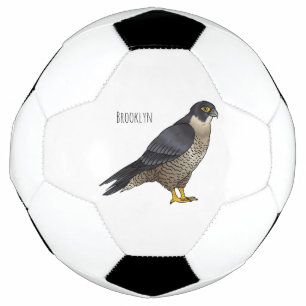 Peregrine falcon bird Cartoon Illustration Fußball