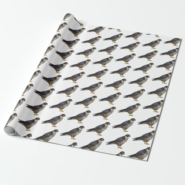 Peregrine falcon bird Cartoon Illustration Geschenkpapier (Ungerollt)