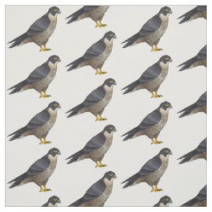 Peregrine falcon bird Cartoon Illustration Stoff