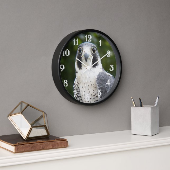 Peregrine Falcon Bird of Prey Foto Uhr (Büro)