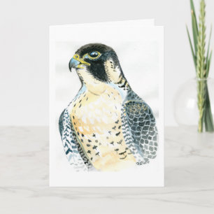 Peregrine Falcon Birthday Card Karte