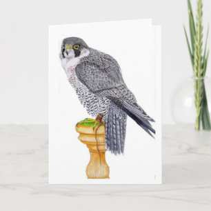 Peregrine Falcon Birthday Card Karte