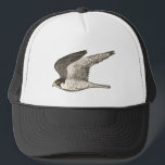 Peregrine Falcon Colored Pencil Art Truckerkappe<br><div class="desc">Karo diese phantastische Bleistiftzeichnung eines Wanderfalke aus und mach dich bereit für etwas Schnelligkeit! Karo in meinem Shop für weitere Designs!</div>