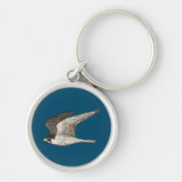 Peregrine Falcon coole Vogeldarstellung