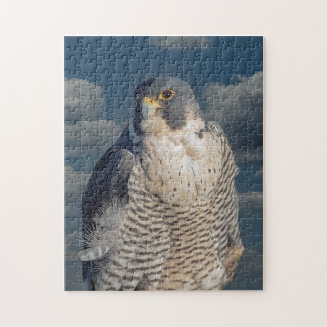 Peregrine Falcon entlang des Hudson River (Vertikal)