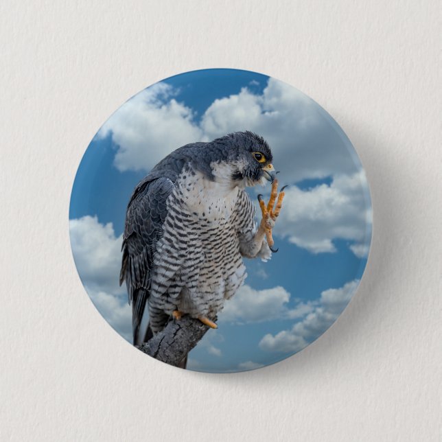 Peregrine Falcon entlang des Hudson River Button (Vorderseite)
