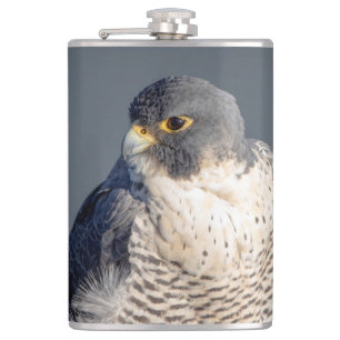 Peregrine Falcon entlang des Hudson River Flachmann