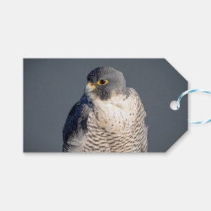 Peregrine Falcon entlang des Hudson River Geschenkanhänger
