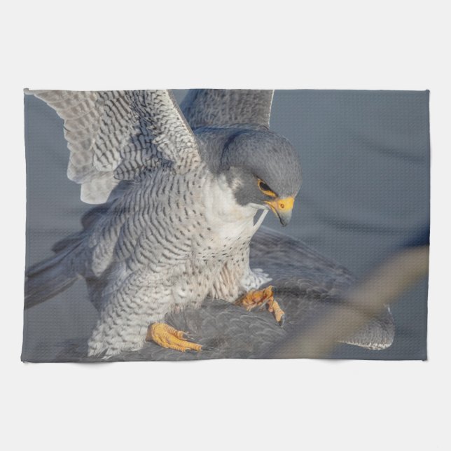 Peregrine Falcon entlang des Hudson River Geschirrtuch (Horizontal)