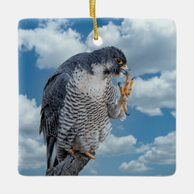 Peregrine Falcon entlang des Hudson River Keramikornament (Vorderseite)