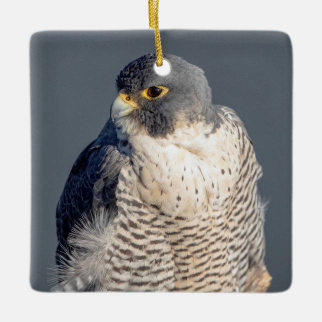 Peregrine Falcon entlang des Hudson River Keramikornament (Vorderseite)