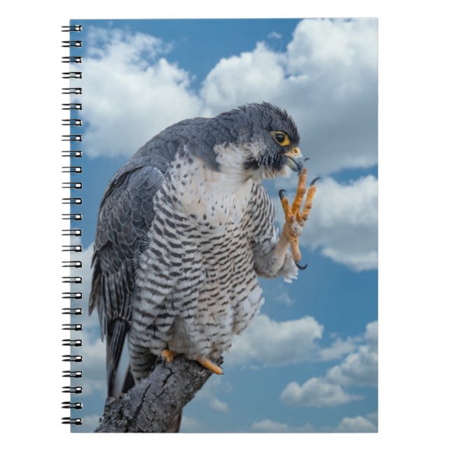Peregrine Falcon entlang des Hudson River Notizblock (Vorderseite)
