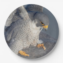 Peregrine Falcon entlang des Hudson River Pappteller