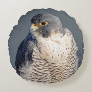 Peregrine Falcon entlang des Hudson River Rundes Kissen