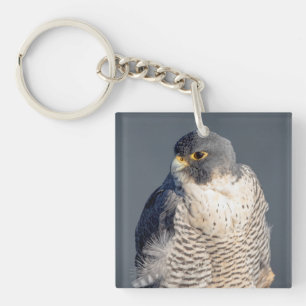 Peregrine Falcon entlang des Hudson River Schlüsselanhänger