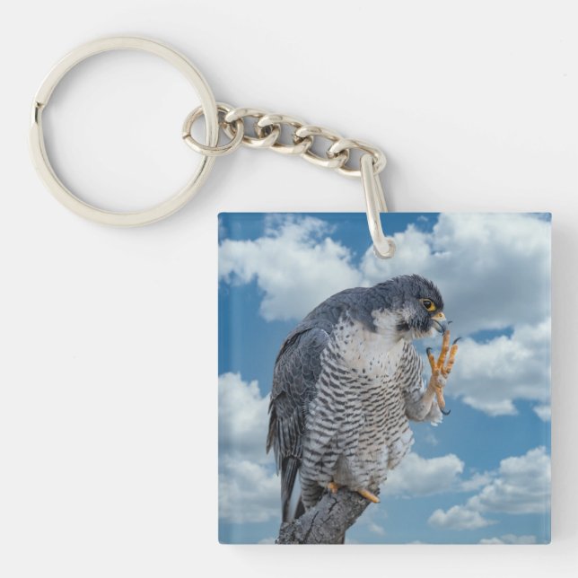 Peregrine Falcon entlang des Hudson River Schlüsselanhänger (Vorderseite)