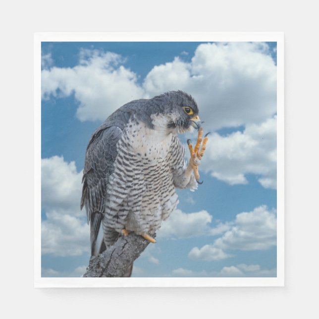 Peregrine Falcon entlang des Hudson River Serviette (Vorderseite)