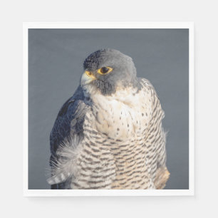 Peregrine Falcon entlang des Hudson River Serviette