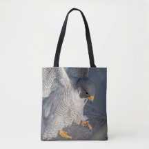 Peregrine Falcon entlang des Hudson River
