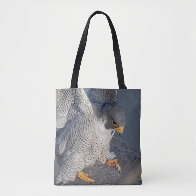 Peregrine Falcon entlang des Hudson River Tasche (Vorderseite)