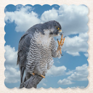 Peregrine Falcon entlang des Hudson River Untersetzer