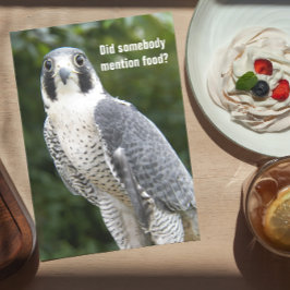 Peregrine Falcon Foto Funny Birthday Card Karte