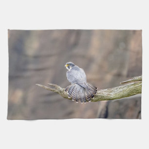 Peregrine Falcon im Palisades Interstate Park Handtuch
