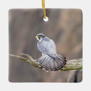 Peregrine Falcon im Palisades Interstate Park Keramikornament