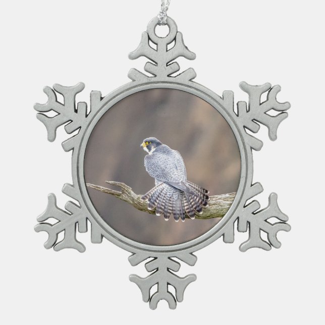 Peregrine Falcon im Palisades Interstate Park Schneeflocken Zinn-Ornament (Vorderseite)