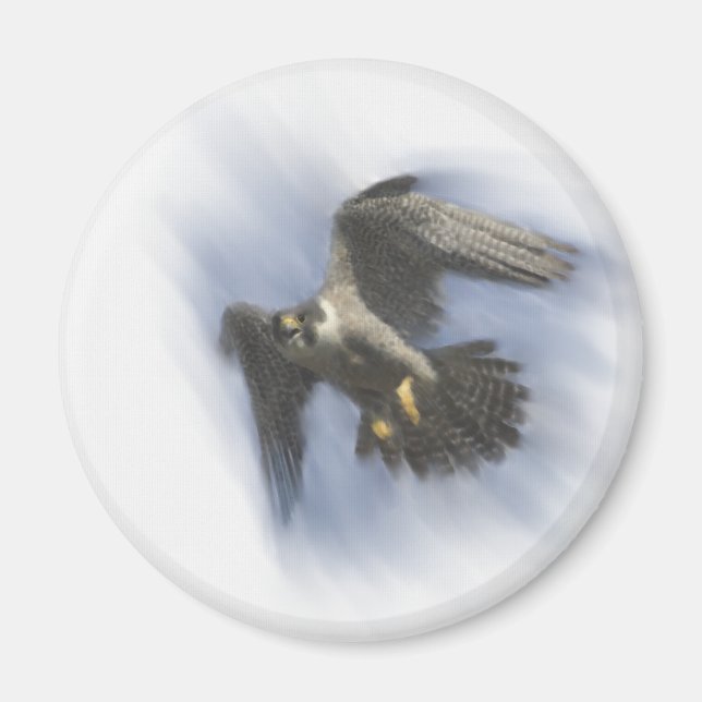 Peregrine Falcon in Flight Magnet (Vorne)