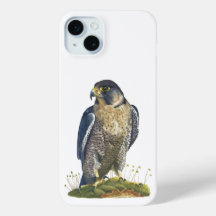 Peregrine Falcon Iphone Case