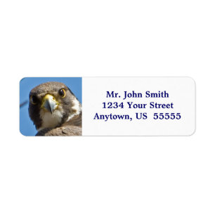 Peregrine Falcon Label