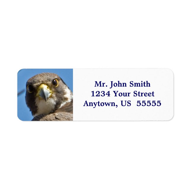 Peregrine Falcon Label (Vorne)