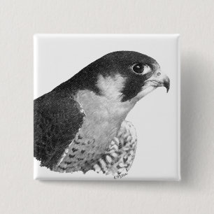 Peregrine Falcon-Pencil Button