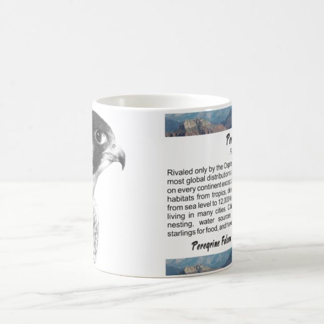 Peregrine Falcon-Pencil Kaffeetasse (Mittel)