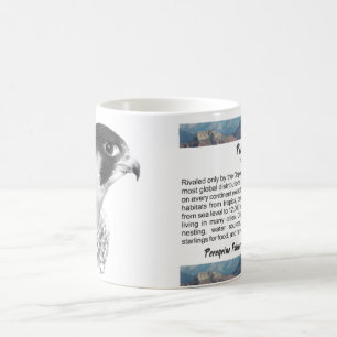 Peregrine Falcon-Pencil Kaffeetasse
